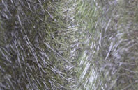 Hulseheath fibreglass roof work